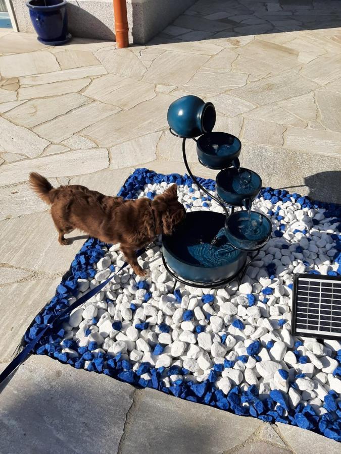 Ferienwohnungen Vallentin Gbr Schaprode Dış mekan fotoğraf